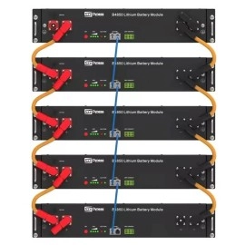 Акумулятор Dyness B4850 - 48В, 50A, 2,4 кВт-год