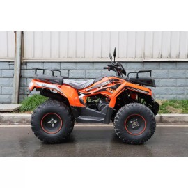 Квадроцикл RATO ATV200 STANDARD