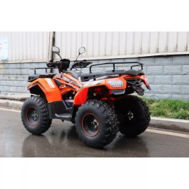 Квадроцикл RATO ATV200 STANDARD