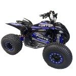 Квадроцикл акумуляторний Forte ATV1000I чорно-блакитний