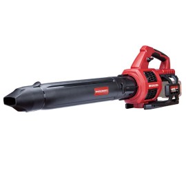 Акумуляторний безщітковий садовий повітродув WORCRAFT CLB-S40LiB