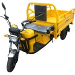 Електротрицикл вантажний DOZER Model 2