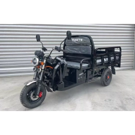 Вантажний електричний трицикл FORTE JH-1200 Чорний