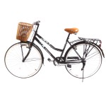 Велосипед Trino Bella CM114