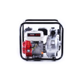Водяна помпа TATA (double suction impeller) ZX20H-170F (16м3/година, діаметр 50mm)